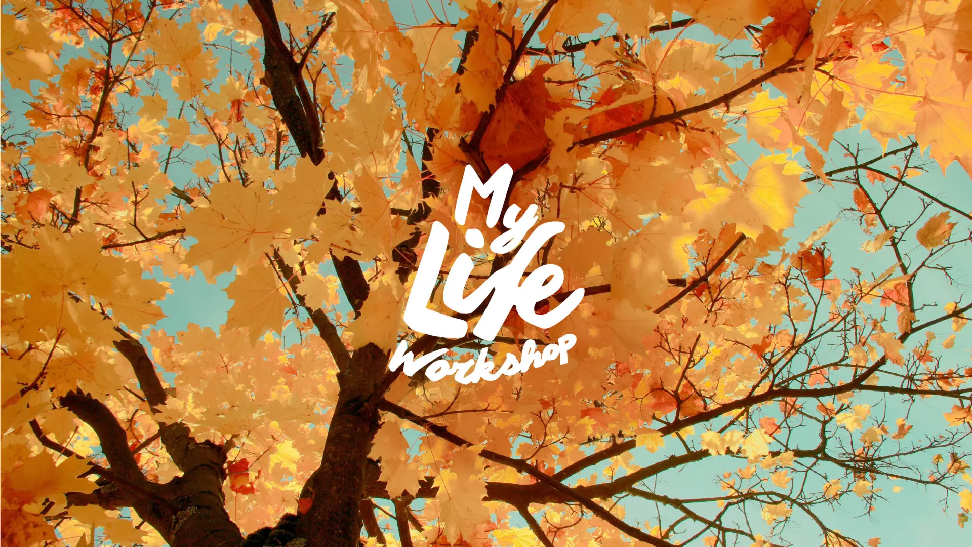 My Life Workshop, ab 12. Februar